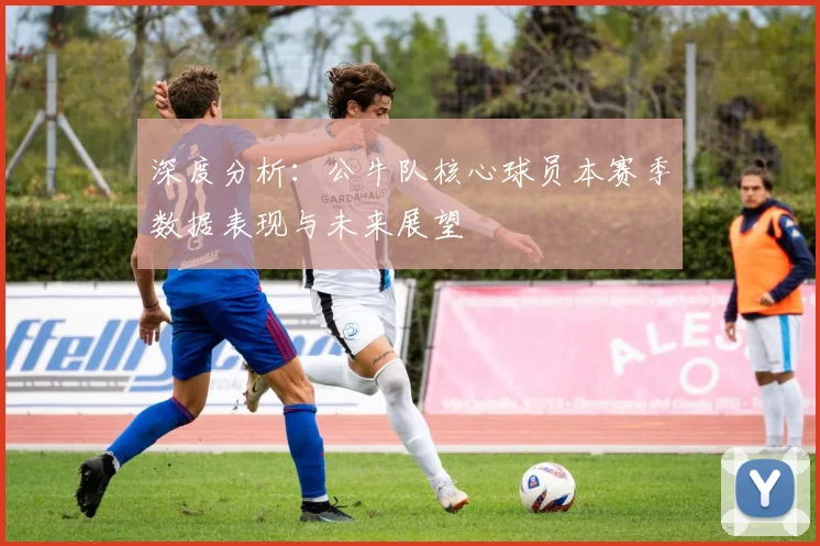 深度分析:公牛队核心球员本赛季数据表现与未来展望