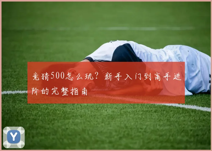 竞猜500怎么玩?新手入门到高手进阶的完整指南