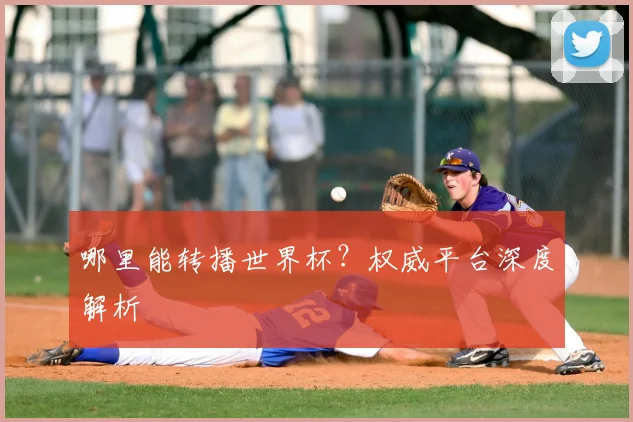 哪里能转播世界杯？权威平台深度解析
