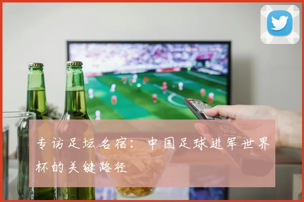 专访足坛名宿：中国足球进军世界杯的关键路径