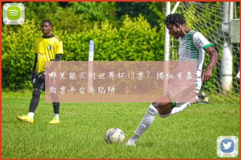 哪里能买到世界杯门票？揭秘可靠购票平台与陷阱