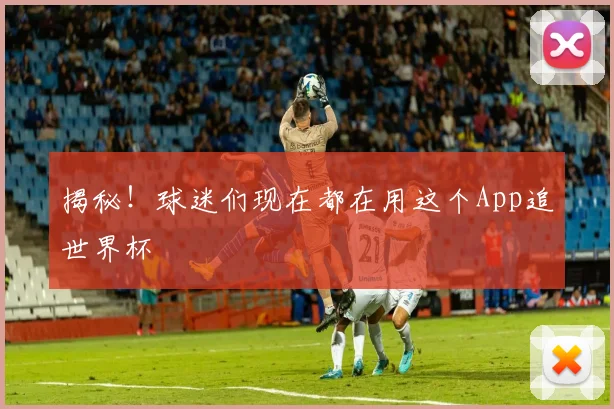 揭秘！球迷们现在都在用这个App追世界杯