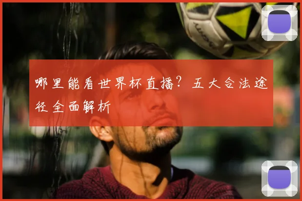 哪里能看世界杯直播？五大合法途径全面解析