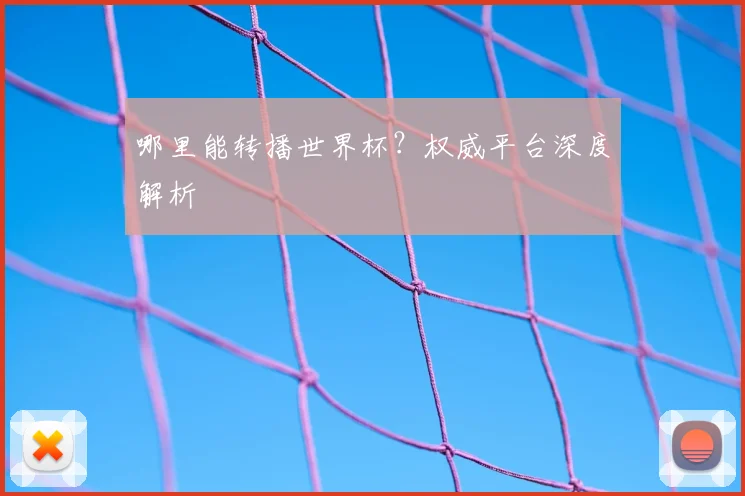 哪里能转播世界杯？权威平台深度解析