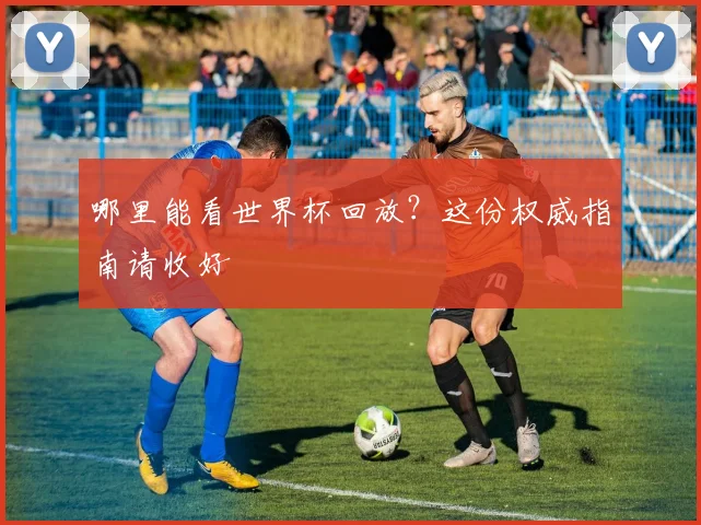 哪里能看世界杯回放？这份权威指南请收好