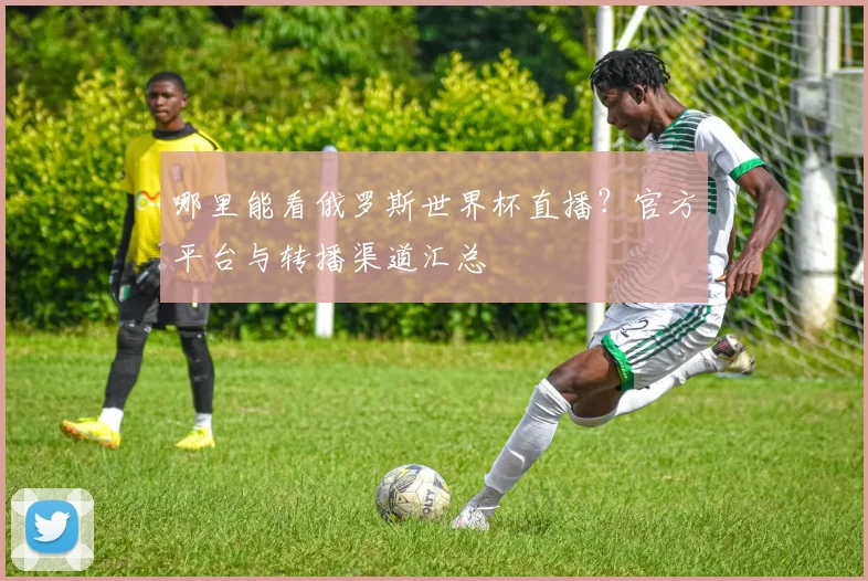哪里能看俄罗斯世界杯直播？官方平台与转播渠道汇总