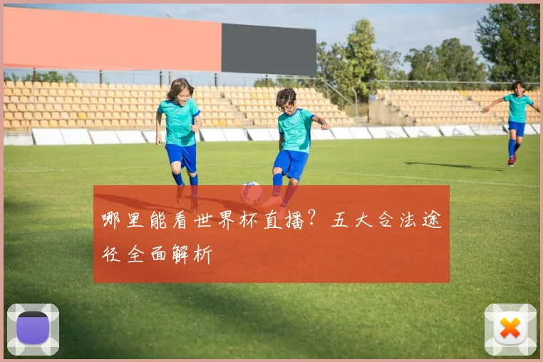 哪里能看世界杯直播？五大合法途径全面解析