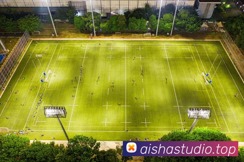 beat365官方网站入口APP 封面图